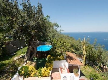 Villa Panorama Massa Lubrense Extérieur photo